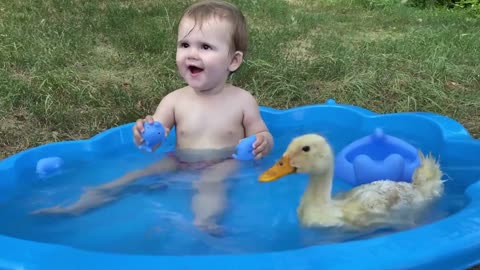 Funny Baby Reaction to Duckling in the Pool