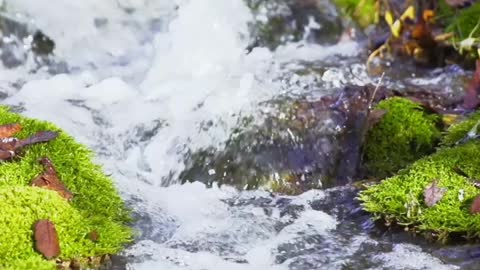 Ascoltare il rumore dell'acqua ti fa sentire calmo