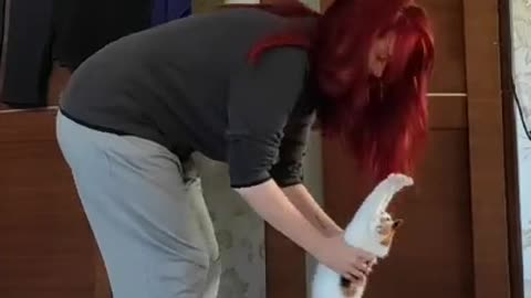 Amazing - See how when a cat comes to her mistress's house, she loves her like her mother