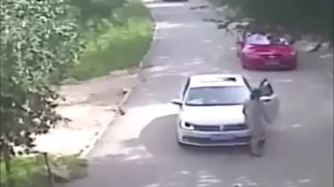 Tiger Attack a women front of her family in china