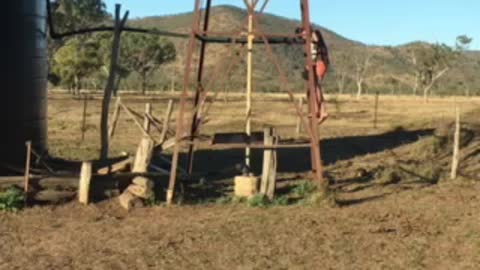 Australian windmill