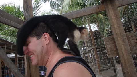 A Brief Encounter with a Little Monkey