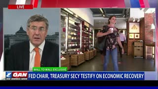 Wall to Wall: Steve Moore on economic recovery part 1