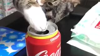 Coke is good
