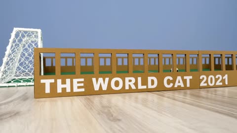 BEST 2021 SPORT EVENT! THE OFFICIAL WORLD CAT 2021