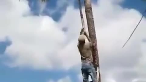 Stealing of Coconut gone wrong. FUNNY