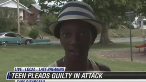 Black teen pleads guilty to hate crime after accusing White victims of racism