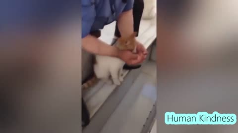 Beautiful Acts of Human Kindness that Will Warm Your Heart