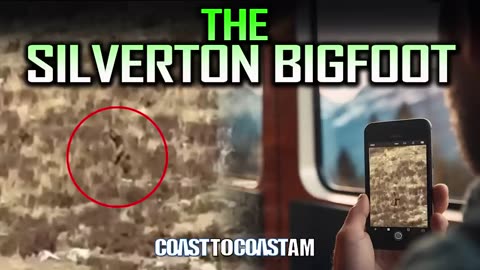 Intriguing Silverton Bigfoot Sighting: A Convincing Encounter