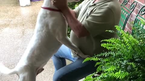 Listen to this pup literally scream in excitement when owner comes home