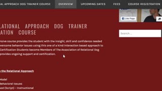 The Relational Approach Dog Trainer Course - Overview