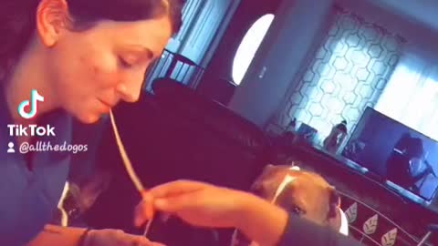 Real life lady and the tramp