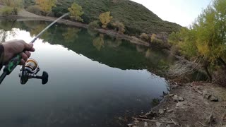 Pond Date Fishin