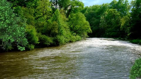 Relax Library: Video 71.River Flowing Downstream