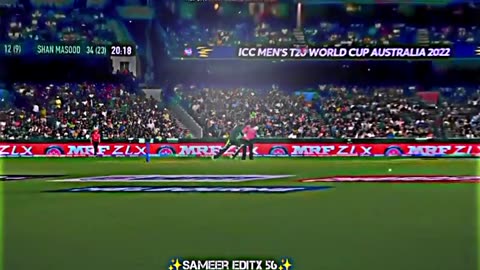 Thrilling Final Moments: Pakistan vs England | Nail-biting Cricket Action!"