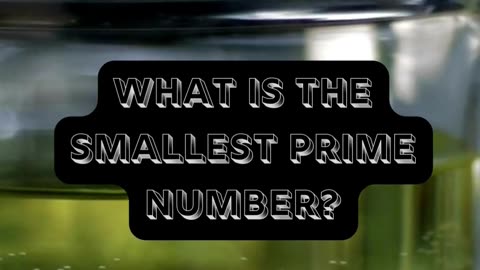 What is the smallest prime number?