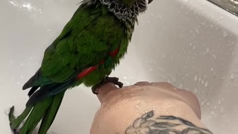 Jeffy bath time 🥑