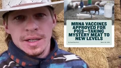 American Small Farmer Says BUY LOCAL, mRNA Vaccines Approved For Pigs