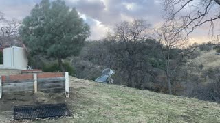 White Duck Tent in the Wind