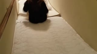 Cute Puppy Dominates Stairway Mattress Slide Sending Kids Into Hysterics