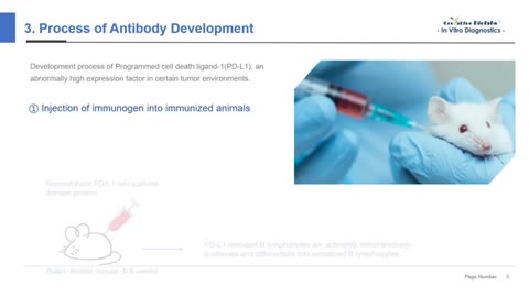 IVD Antibody Development 4