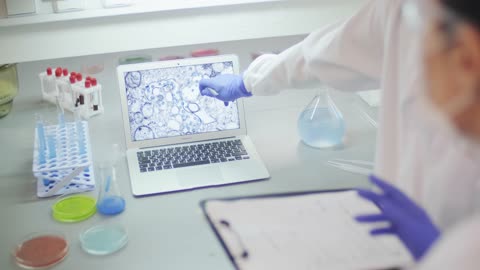 Scientist Working In A Laboratory