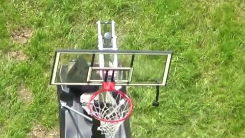 WORLD RECORD# Backwards Basketball Shot! #Shorts#