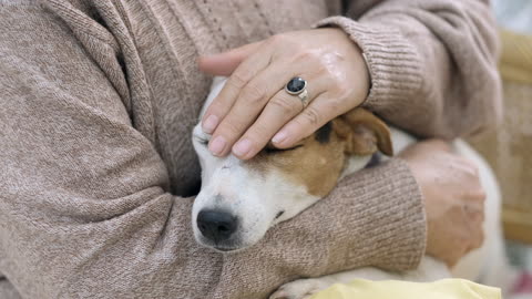 Older Woman Petting Her Dog Head With Love