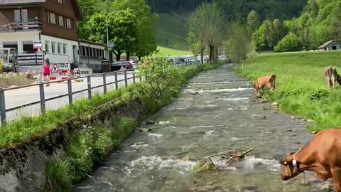 Exploring the Hidden Gem of Switzerland - Appenzell