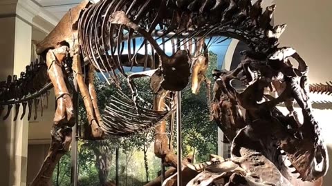 How Bizzare The Extinct The Tyrannosaurus rex Is!
