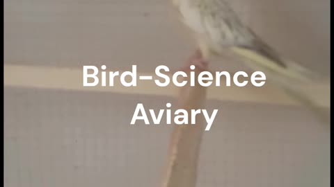 Info to Bird-Science Aviary
