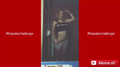 Top Tiktok challenge 2023