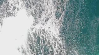 Amazing Breaching Humpback Whale