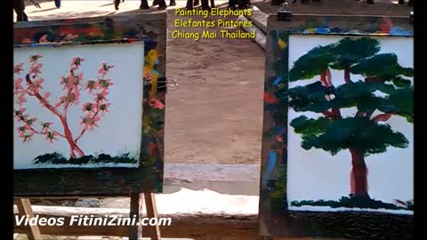 #PaintingElephants #ElefantesPintores #ChiangMai #Thai #Tailandia #Thailand #Bangkok #Fitinizini #Fitinizinicom #バンコク #タイ #방콕 #태국 #กรุงเทพ #ไทย #曼谷 #泰國