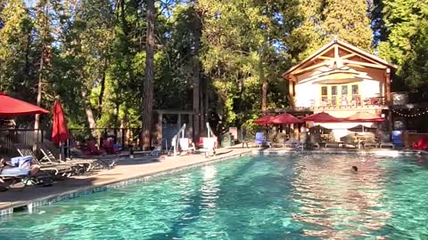 Evergreen Lodge Yosemite Amazing Pool View!