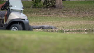 Florida Golf Courses Have Their Unique Challenges.