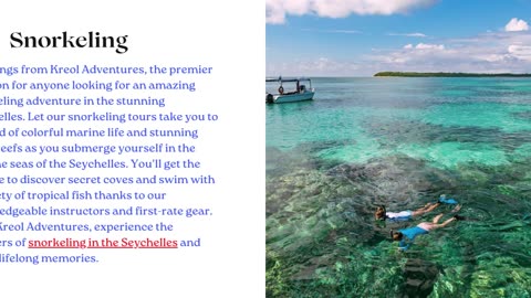 Best Snorkeling Seychelles | Kreol Adventures