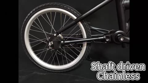 How does NO PS bike look? Shaft driven chainless solid tire folding bike