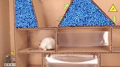 Hamster adventures house trap hamster escapes the awesome maze