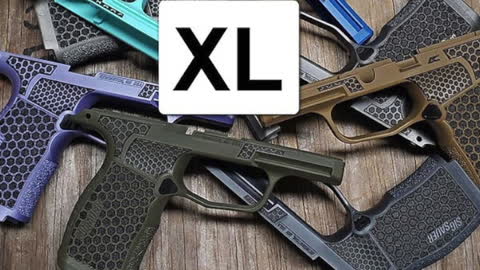 1 GUN to RULE THEM ALL, IT'S SIG's world NOW, 365 | X XL Spectre Comp X Macro #shorts #alaska #guns