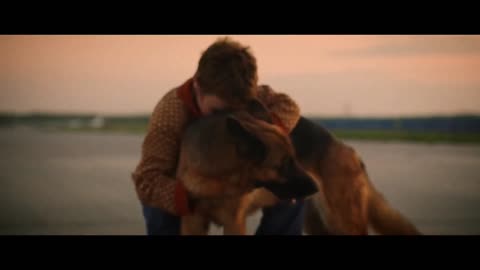 A beautiful and emotional story of dog ...A dog named Palma
