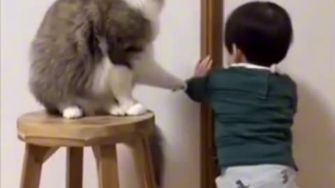 Funny animal videos|Cute animal videos Funny dog&cat videos Hilarious pet videos funny video