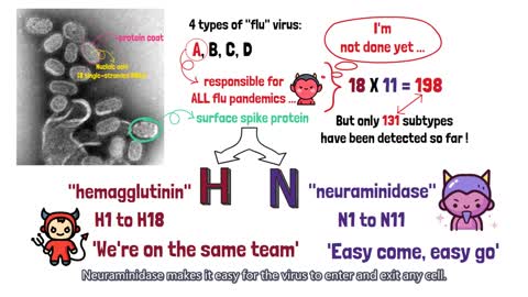 [Quick guide] The significance of 'H' and 'N' in naming a flu virus