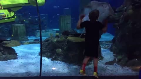 Kid with beluga whale