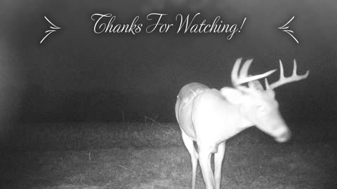 Buck Population Is Out Of Control!! 9/9/22