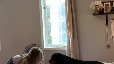 Sweet pup says "I love you" to little girl