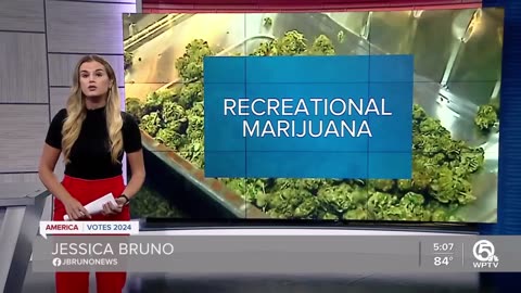 MARIJUANA...How could recreational marijuana in Florida change cannabis industry