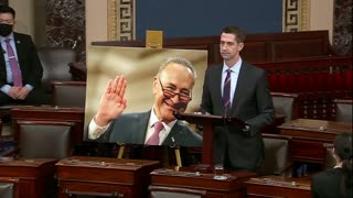 POWERFUL: Tom Cotton Uses Schumer's Own Words Against Him