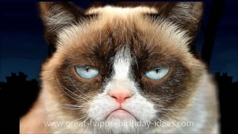 Grumpy Cat Sings Happy Birthday to you!!