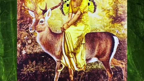 Daily Energy Oracle Reading November 17, 2022 🦌